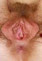 Apricot Pits Lingerie Bush Spreads, Apricot Pitts (apr024) ATK Natural & Hairy: Apricot Pitts (Apricot Pits Lingerie Bush Spreads)