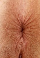 Apricot Pits Lingerie Bush Spreads, Apricot Pitts (apr024) ATK Natural & Hairy: Apricot Pitts (Apricot Pits Lingerie Bush Spreads)