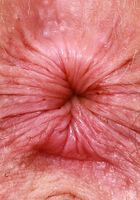 Apricot Pitts Big Hairy Pussy Spreads, Apricot Pitts (apr024) ATK Natural & Hairy: Apricot Pitts (Apricot Pitts Big Hairy Pussy Spreads)