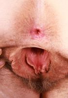 Apricot Pitts Strip and Spread, Apricot Pitts (apr024) ATK Natural & Hairy: Apricot Pitts (Apricot Pitts Strip and Spread)