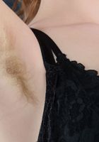 Apricot Pitts in young and hairy, Apricot Pitts (apr024) ATK Natural & Hairy: Apricot Pitts (Apricot Pitts in young and hairy)