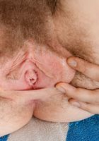 Apricot Pitts in young and hairy, Apricot Pitts (apr024) ATK Natural & Hairy: Apricot Pitts (Apricot Pitts in young and hairy)
