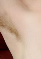 Apricot Pitts in young and hairy, Apricot Pitts (apr024) ATK Natural & Hairy: Apricot Pitts (Apricot Pitts in young and hairy)