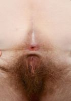 Apricot Pitts in young and hairy, Apricot Pitts (apr024) ATK Natural & Hairy: Apricot Pitts (Apricot Pitts in young and hairy)