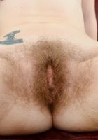 Apricot Pitts in young and hairy, Apricot Pitts (apr024) ATK Natural & Hairy: Apricot Pitts (Apricot Pitts in young and hairy)