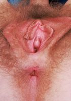Apricot Pitts Sexy Hairy Spreading, Apricot Pitts (apr024) ATK Natural & Hairy: Apricot Pitts (Apricot Pitts Sexy Hairy Spreading)