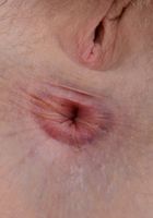 Apricot Pitts in young and hairy, Apricot Pitts (apr024) ATK Natural & Hairy: Apricot Pitts (Apricot Pitts in young and hairy)