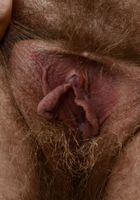 Apricot Pitts in young and hairy, Apricot Pitts (apr024) ATK Natural & Hairy: Apricot Pitts (Apricot Pitts in young and hairy)