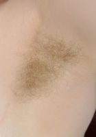 Apricot Pitts in young and hairy, Apricot Pitts (apr024) ATK Natural & Hairy: Apricot Pitts (Apricot Pitts in young and hairy)