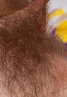 Apricot Pitts in young and hairy, Apricot Pitts (apr024) ATK Natural & Hairy: Apricot Pitts (Apricot Pitts in young and hairy)