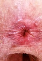 Apricot Pitts is in the mood, Apricot Pitts (apr024) ATK Natural & Hairy: Apricot Pitts (Apricot Pitts is in the mood)
