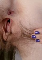 Apricot Pitts in young and hairy, Apricot Pitts (apr024) ATK Natural & Hairy: Apricot Pitts (Apricot Pitts in young and hairy)
