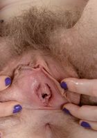 Apricot Pitts in young and hairy, Apricot Pitts (apr024) ATK Natural & Hairy: Apricot Pitts (Apricot Pitts in young and hairy)