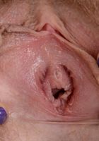 Apricot Pitts in young and hairy, Apricot Pitts (apr024) ATK Natural & Hairy: Apricot Pitts (Apricot Pitts in young and hairy)