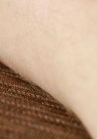 Apricot Pitts in young and hairy, Apricot Pitts (apr024) ATK Natural & Hairy: Apricot Pitts (Apricot Pitts in young and hairy)