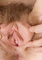 Apricot Pitts in young and hairy, Apricot Pitts (apr024) ATK Natural & Hairy: Apricot Pitts (Apricot Pitts in young and hairy)