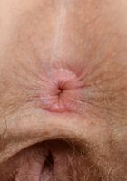 Apricot Pitts in young and hairy, Apricot Pitts (apr024) ATK Natural & Hairy: Apricot Pitts (Apricot Pitts in young and hairy)