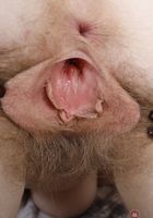 Apricot Pitts in hairy fun, Apricot Pitts (apr024) ATK Natural & Hairy: Apricot Pitts (Apricot Pitts in hairy fun)