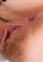 Apricot Pitts in young and hairy, Apricot Pitts (apr024) ATK Natural & Hairy: Apricot Pitts (Apricot Pitts in young and hairy)
