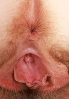 Apricot Pitts Sexy Velour, Apricot Pitts (apr024) ATK Natural & Hairy: Apricot Pitts (Apricot Pitts Sexy Velour)