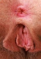 Apricot loves having her nipples played with, Apricot Pitts (apr024) ATK Natural & Hairy: Apricot Pitts (Apricot loves having her nipples played with)