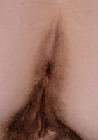 Apricot Pitts in young and hairy, Apricot Pitts (apr024) ATK Natural & Hairy: Apricot Pitts (Apricot Pitts in young and hairy)