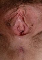 Apricot Pitts in young and hairy, Apricot Pitts (apr024) ATK Natural & Hairy: Apricot Pitts (Apricot Pitts in young and hairy)