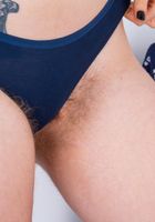 Apricot Pitts in young and hairy, Apricot Pitts (apr024) ATK Natural & Hairy: Apricot Pitts (Apricot Pitts in young and hairy)