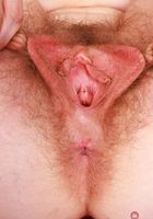 Apricot Pitts in black and red, Apricot Pitts (apr024) ATK Natural & Hairy: Apricot Pitts (Apricot Pitts in black and red)