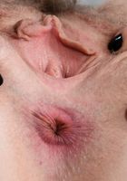 Apricot Pitts in upskirts and panties, Apricot Pitts (apr024) ATK Natural & Hairy: Apricot Pitts (Apricot Pitts in upskirts and panties)