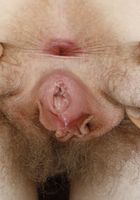 Apricot Pitts in young and hairy, Apricot Pitts (apr024) ATK Natural & Hairy: Apricot Pitts (Apricot Pitts in young and hairy)