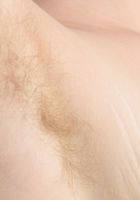 Apricot Pitts in young and hairy, Apricot Pitts (apr024) ATK Natural & Hairy: Apricot Pitts (Apricot Pitts in young and hairy)