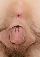 Apricot Pitts in young and hairy, Apricot Pitts (apr024) ATK Natural & Hairy: Apricot Pitts (Apricot Pitts in young and hairy)
