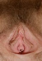 Apricot Pitts in young and hairy, Apricot Pitts (apr024) ATK Natural & Hairy: Apricot Pitts (Apricot Pitts in young and hairy)