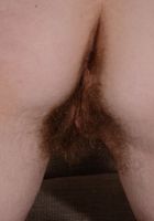 Apricot Pitts in young and hairy, Apricot Pitts (apr024) ATK Natural & Hairy: Apricot Pitts (Apricot Pitts in young and hairy)