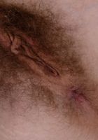 Apricot Pitts in young and hairy, Apricot Pitts (apr024) ATK Natural & Hairy: Apricot Pitts (Apricot Pitts in young and hairy)