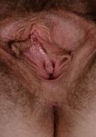 Apricot Pitts in young and hairy, Apricot Pitts (apr024) ATK Natural & Hairy: Apricot Pitts (Apricot Pitts in young and hairy)