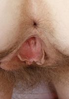 Apricot Pitts in young and hairy, Apricot Pitts (apr024) ATK Natural & Hairy: Apricot Pitts (Apricot Pitts in young and hairy)