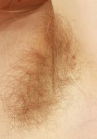 Apricot Pitts Fishnet Spreads, Apricot Pitts (apr024) ATK Natural & Hairy: Apricot Pitts (Apricot Pitts Fishnet Spreads)