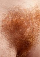 Hairy redhead MILF Eva gets wild, Ava (ara001) ATK Natural & Hairy: Ava (Hairy redhead MILF Eva gets wild)