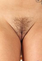 Pressley Carter Trimmed Pussy Spreads, Pressley Carter (ari033) ATK Premium: Pressley Carter (Pressley Carter Trimmed Pussy Spreads)