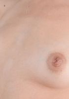 Arielle Faye Upskirt Spreads, Arielle Faye (ari047) ATK Exotics: Arielle Faye (Arielle Faye Upskirt Spreads)