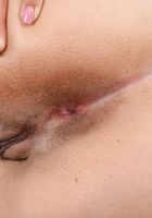 Eve Ellwood in latinas, Eve Ellwood (ari049) ATK Exotics: Eve Ellwood (Eve Ellwood in latinas)