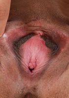 Eve Ellwood in latinas, Eve Ellwood (ari049) ATK Exotics: Eve Ellwood (Eve Ellwood in latinas)