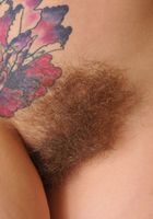 Hairy Artimisia shows her bush, Artemisia (art007) ATK Archives: Artemisia (Hairy Artimisia shows her bush)