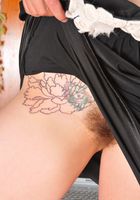 Hairy Artimisia shows her bush, Artemisia (art007) ATK Archives: Artemisia (Hairy Artimisia shows her bush)