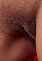 Asha Khan from ATK Exotics