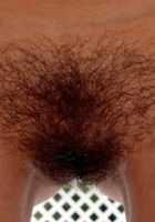 Ashlynn spreads her dynamite hairy pussy., Ashlynn Taylor (ash064) ATK Natural & Hairy: Ashlynn Taylor (Ashlynn spreads her dynamite hairy pussy.)
