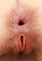 Ava D'Amore Gaping Asshole, Ava D'Amore (ava022) ATK Natural & Hairy: Ava D'Amore (Ava D'Amore Gaping Asshole)