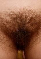 Hairy Avery strips off her bikini, Avery (ave006) ATK Archives: Avery (Hairy Avery strips off her bikini)